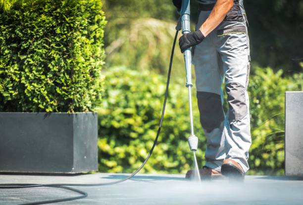 Best Gutter Cleaning  in Little Flock, AR